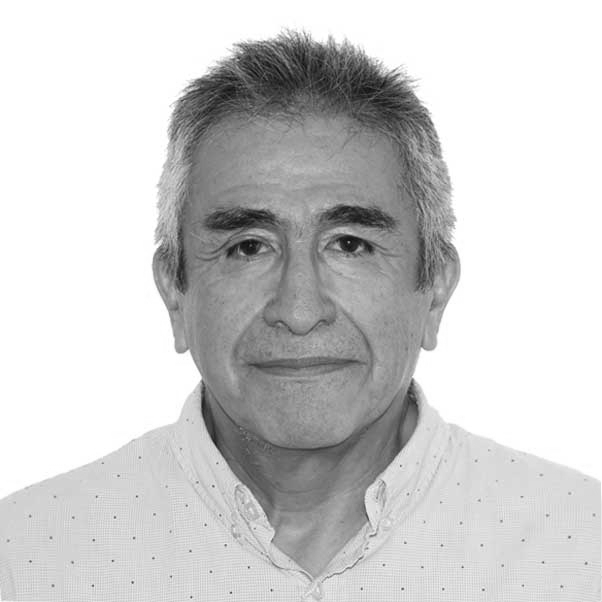 Luis Cárdenas Ojeda